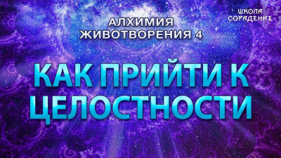 Картинка как прийти к целостности. семинар алхимия животворения 4 от школы Сорадения