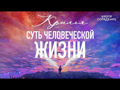 Суть человеческой жизни (Крылья)