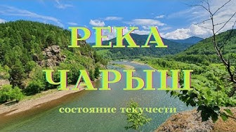 Река Чарыш Алтайский край