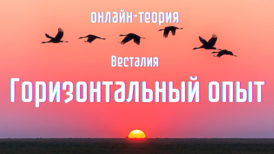 Зачем нужен горизонтальный опыт