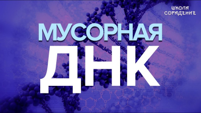 Мусорная ДНК