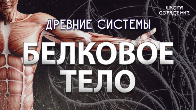 Белковое тело