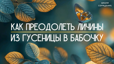 Как преодолеть личины. Из гусеницы в бабочку