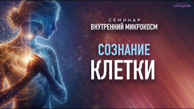 Сознание клетки. Семинар Внутренний микрокосм от школы Сорадения Картинка сознание клетки. семинар внутренний микрокосм от школы Сорадения