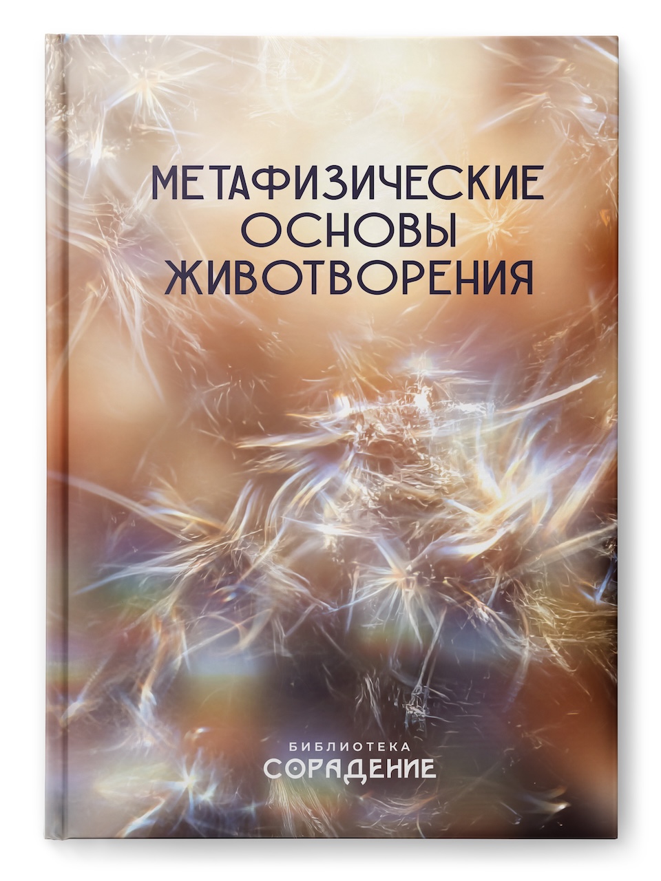 Метафизические основы животворения