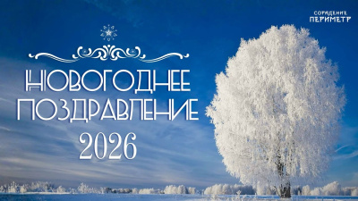 Новогоднее поздравление 2026