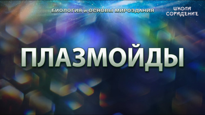 Плазмойды