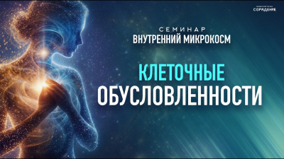 Клеточные обусловленности. Семинар Внутренний микрокосм от школы Сорадения Картинка клеточные обусловленности. семинар внутренний микрокосм от школы Сорадения