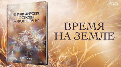 Время на Земле. "Метафизические основы животворения"