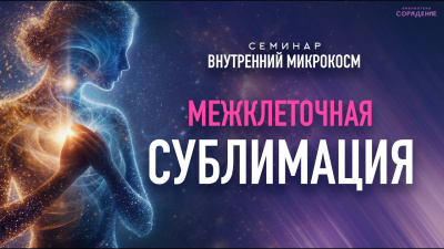 Картинка межклеточная сублимация. семинар внутренний микрокосм от школы Сорадения