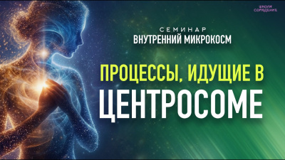 Процессы, идущие в центросоме. Семинар Внутренний микрокосм от школы Сорадения Картинка процессы, идущие в центросоме. семинар внутренний микрокосм от школы Сорадения