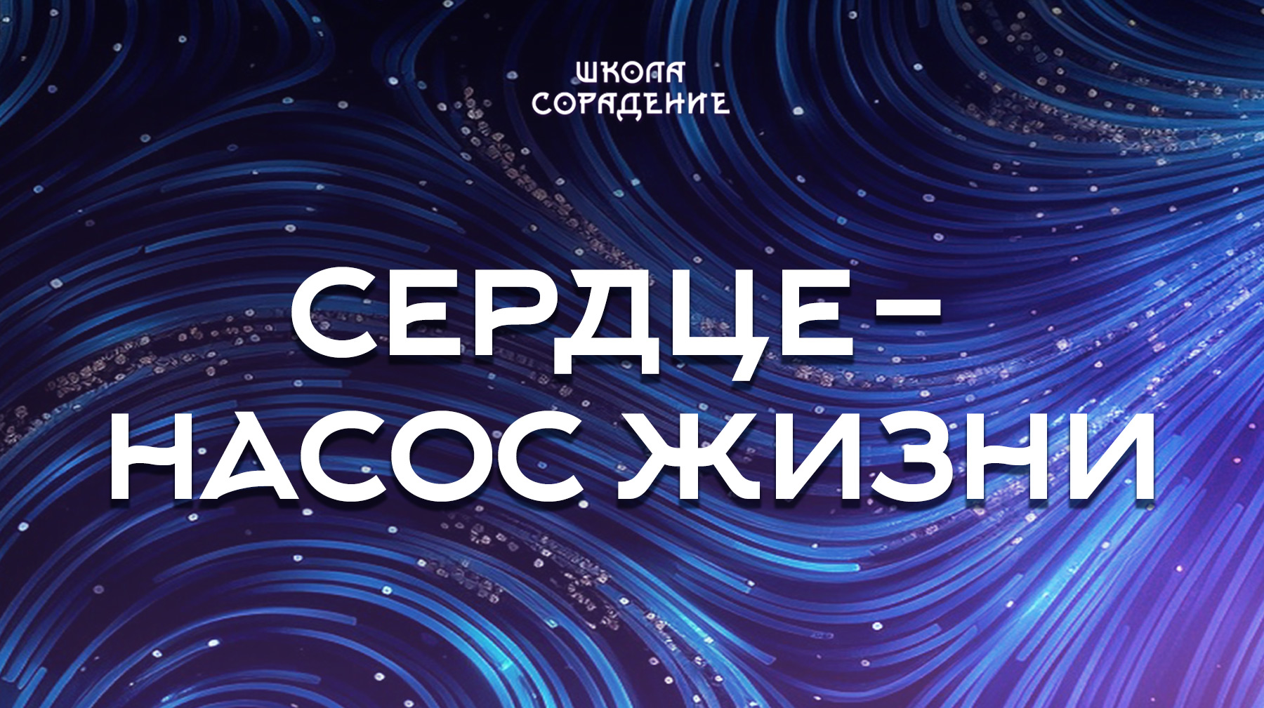 Урок 6. Сердце – насос жизни