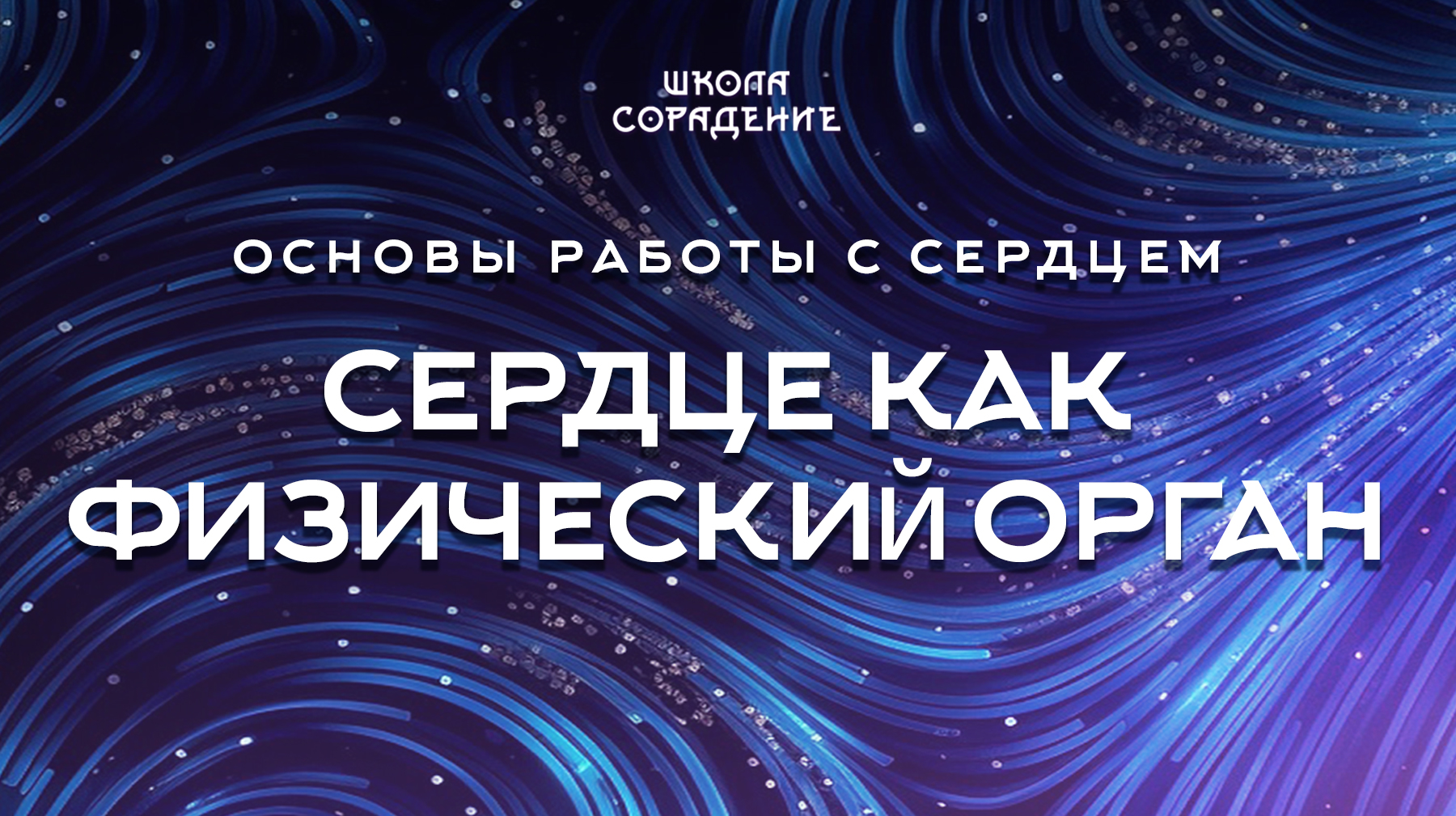 Урок 4.3 Сердце как физический орган