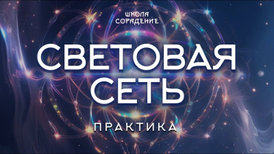 Практика Световая сеть