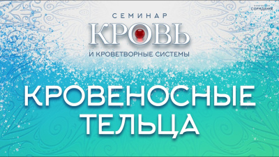 Кровеносные тельца. Энергоинформационная система и природные ритмы от школы Сорадения Картинка кровеносные тельца. энергоинформационная система и природные ритмы от школы Сорадения