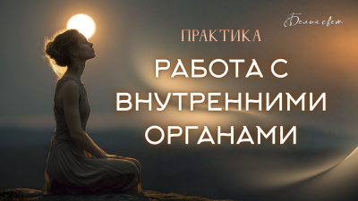 Картинка работа с внутренними органами. практики со вниманием от школы Сорадения