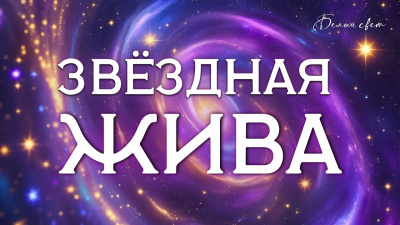 Звёздная жива. Запуск крови. Часть 2