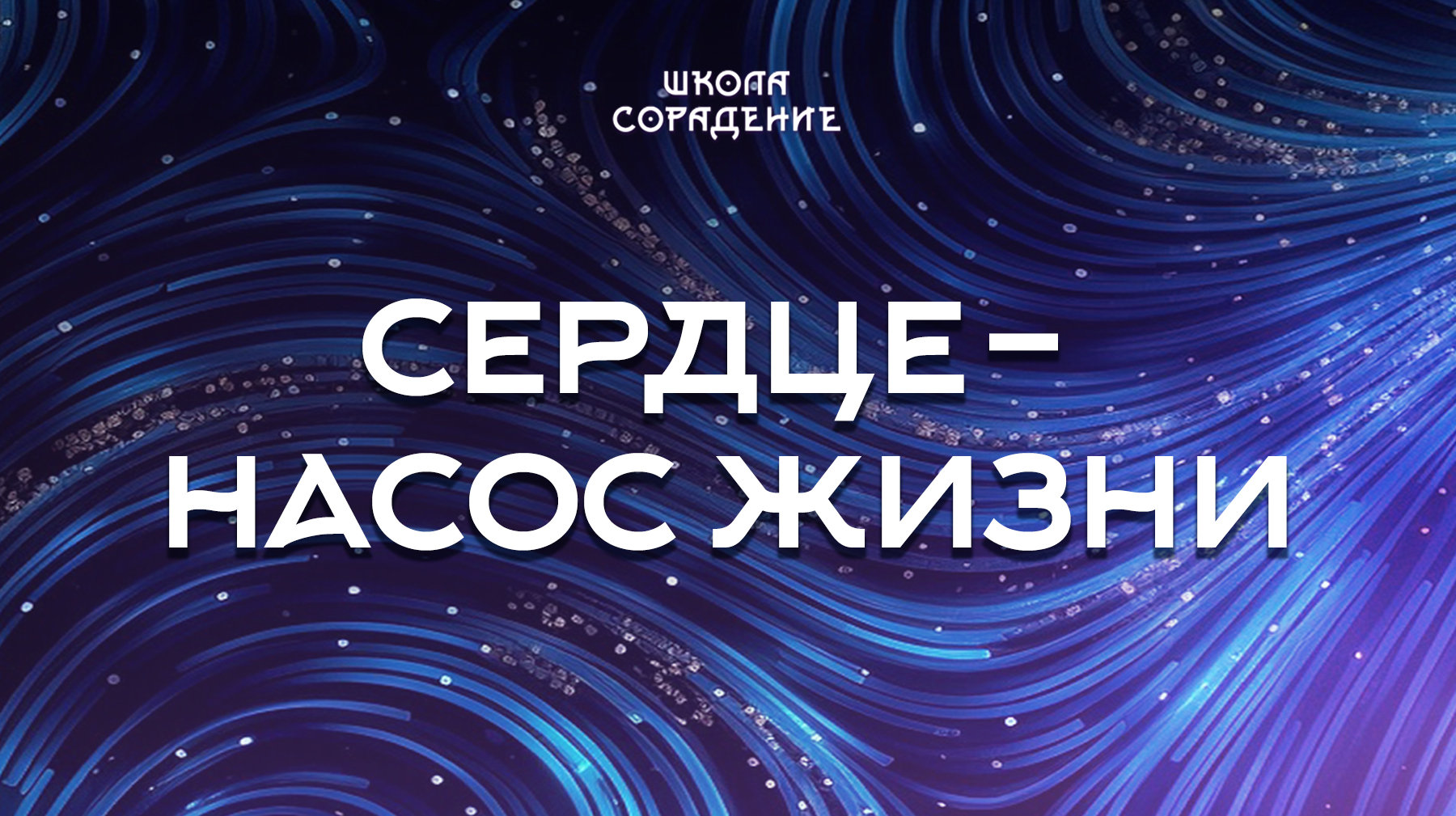 Урок 3. Сердце – насос жизни