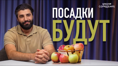 Картинка посадки будут! от школы Сорадения