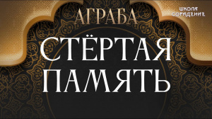 Стёртая память