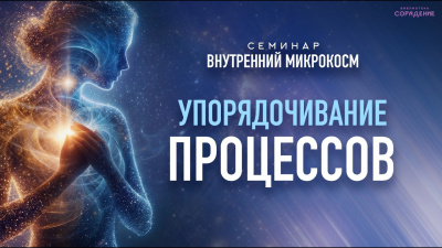 Картинка упорядочивание процессов. семинар внутренний микрокосм от школы Сорадения