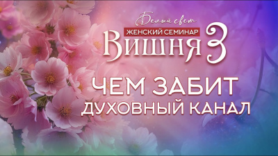 Картинка чем забит духовный канал от школы Сорадения