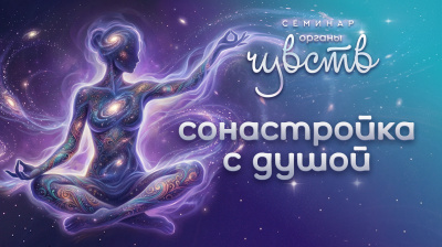 Сонастройка с душой. Семинар Органы чувств от школы Сорадения Картинка сонастройка с душой. семинар органы чувств от школы Сорадения