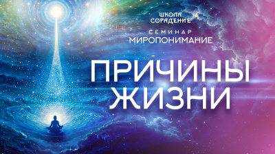 Картинка причины жизни. семинар миропонимание. часть 1 от школы Сорадения