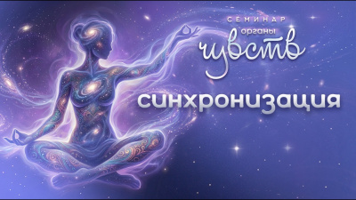 Синхронизация. Семинар Органы чувств от школы Сорадения Картинка синхронизация. семинар органы чувств от школы Сорадения