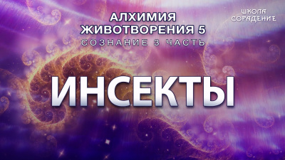 Инсекты