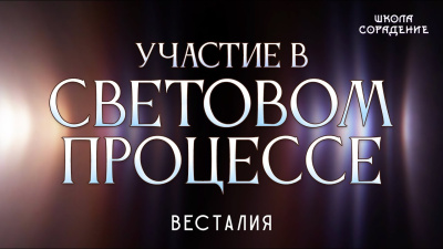 Участие в световом процессе