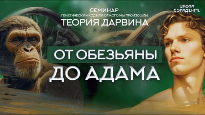 Картинка от обезьяны до адама. семинар генетический код или от кого мы произошли. теория дарвина от школы Сорадения