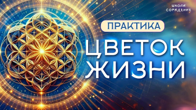 Практика Цветок Жизни