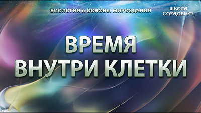 Время внутри клетки