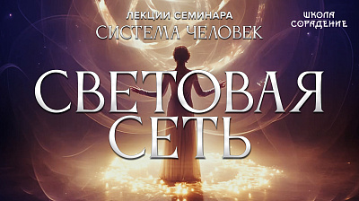 Световая сеть