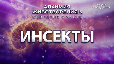 Инсекты