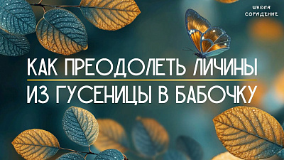 Картинка как преодолеть личины. из гусеницы в бабочку от школы Сорадения