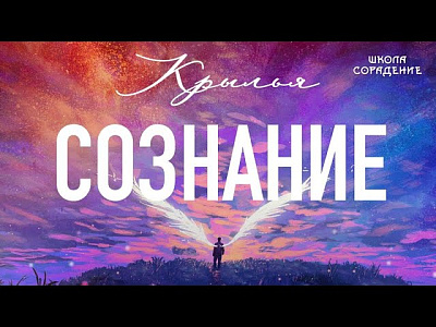Картинка сознание (крылья) от школы Сорадения