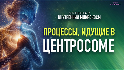 Процессы, идущие в центросоме. Семинар Внутренний микрокосм от школы Сорадения Картинка процессы, идущие в центросоме. семинар внутренний микрокосм от школы Сорадения