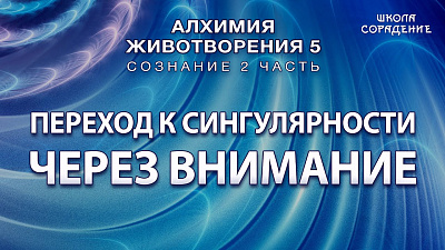 Переход к сингулярности через внимание