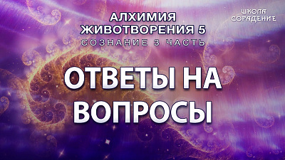 Ответы на вопросы Сознание 3 часть