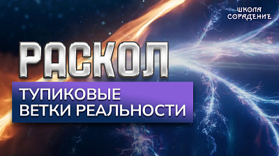 Картинка раскол. эпизод 13. тупиковые ветки реальности от школы Сорадения