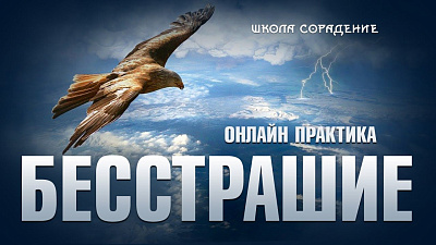 Бесстрашие. Практика