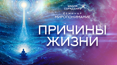 Картинка причины жизни. семинар миропонимание. часть 1 от школы Сорадения