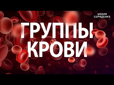 О группах крови и резус-факторе