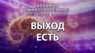 Выход есть