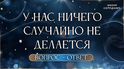 Картинка у нас ничего случайно не делается. вопрос-ответ. гарат от школы Сорадения