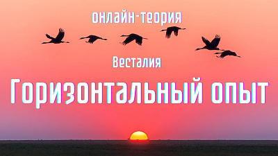 Зачем нужен горизонтальный опыт
