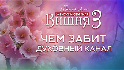 Картинка чем забит духовный канал от школы Сорадения