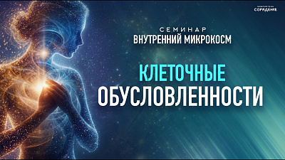 Картинка клеточные обусловленности. семинар внутренний микрокосм от школы Сорадения